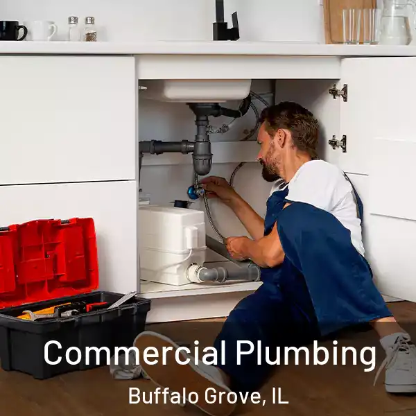  Commercial Plumbing Buffalo Grove, IL