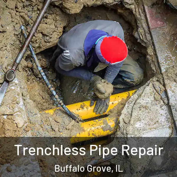  Trenchless Pipe Repair Buffalo Grove, IL